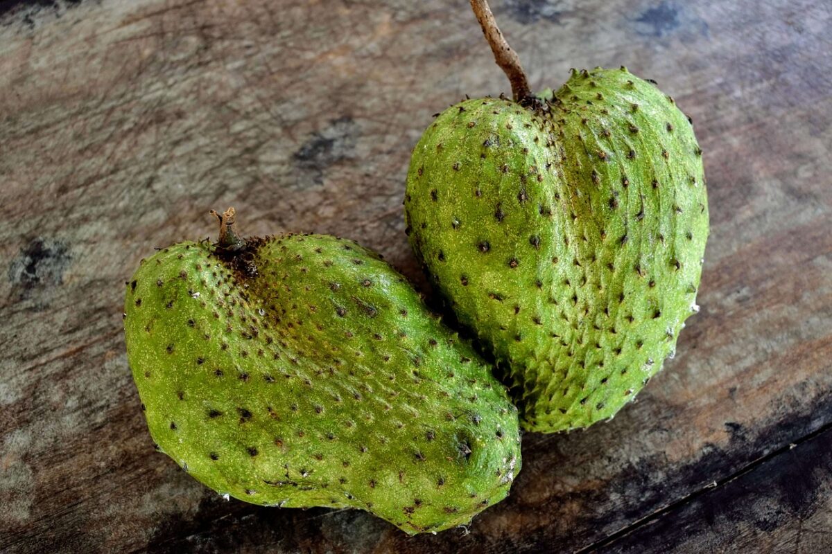 Fruta Graviola